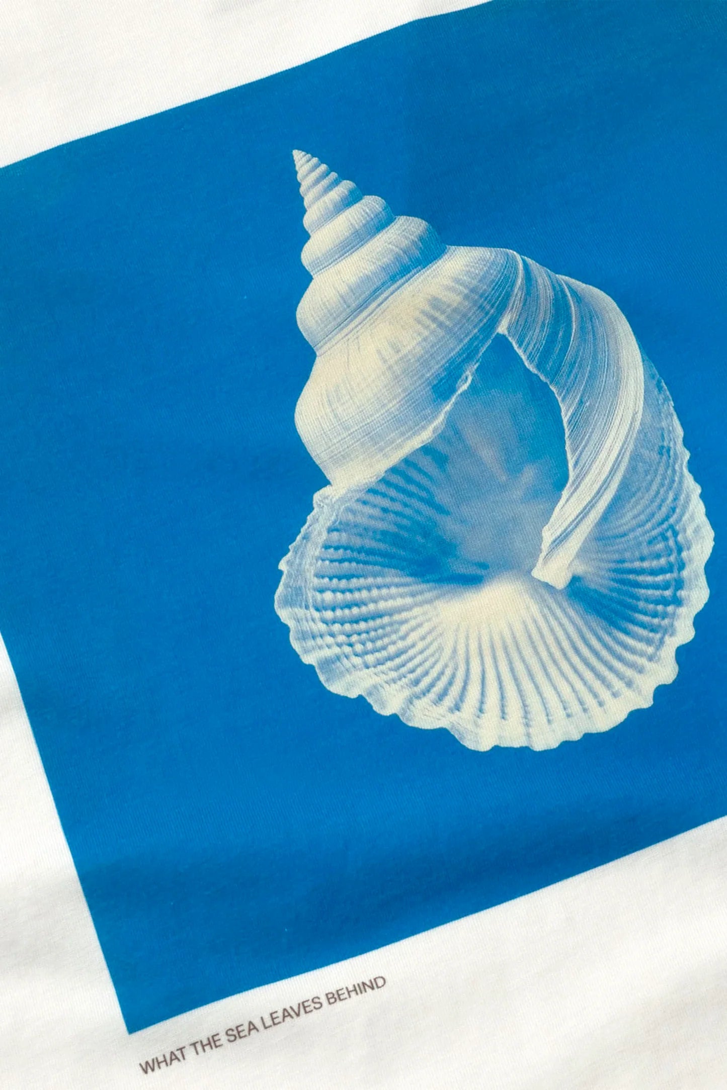 Lena Tee Sea Treausre