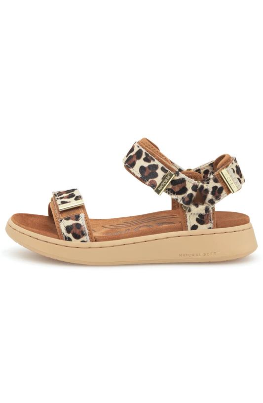 Line Suede - Leopard