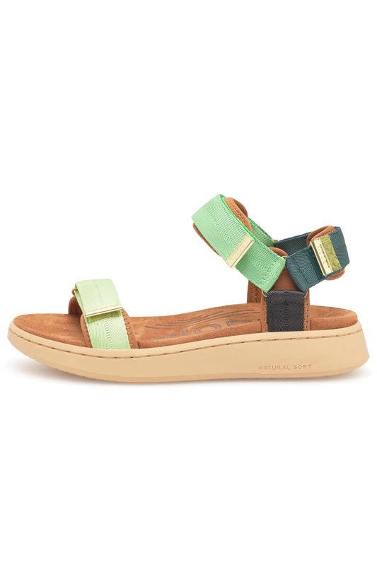 Line - Apple Green Multi