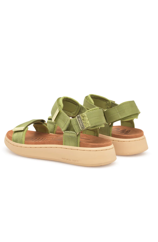 Line - Bambus Green